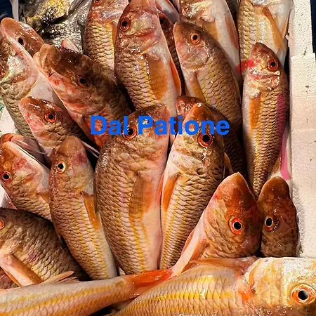 Casa Ciccina Tatil Evi