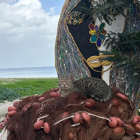 Casa Ciccina Tatil Evi *