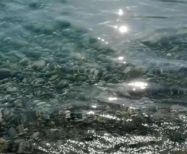 Holiday home Casa Ciccina Palermo